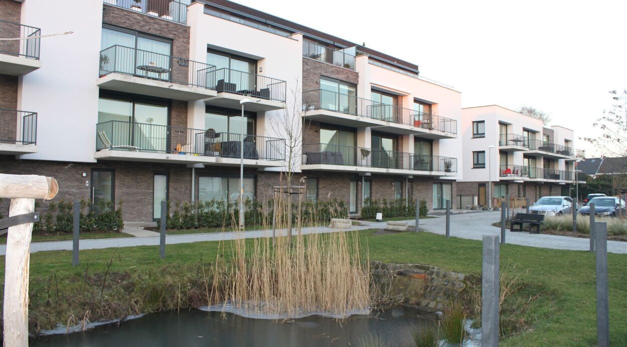 Appartement te huur in BORNEM