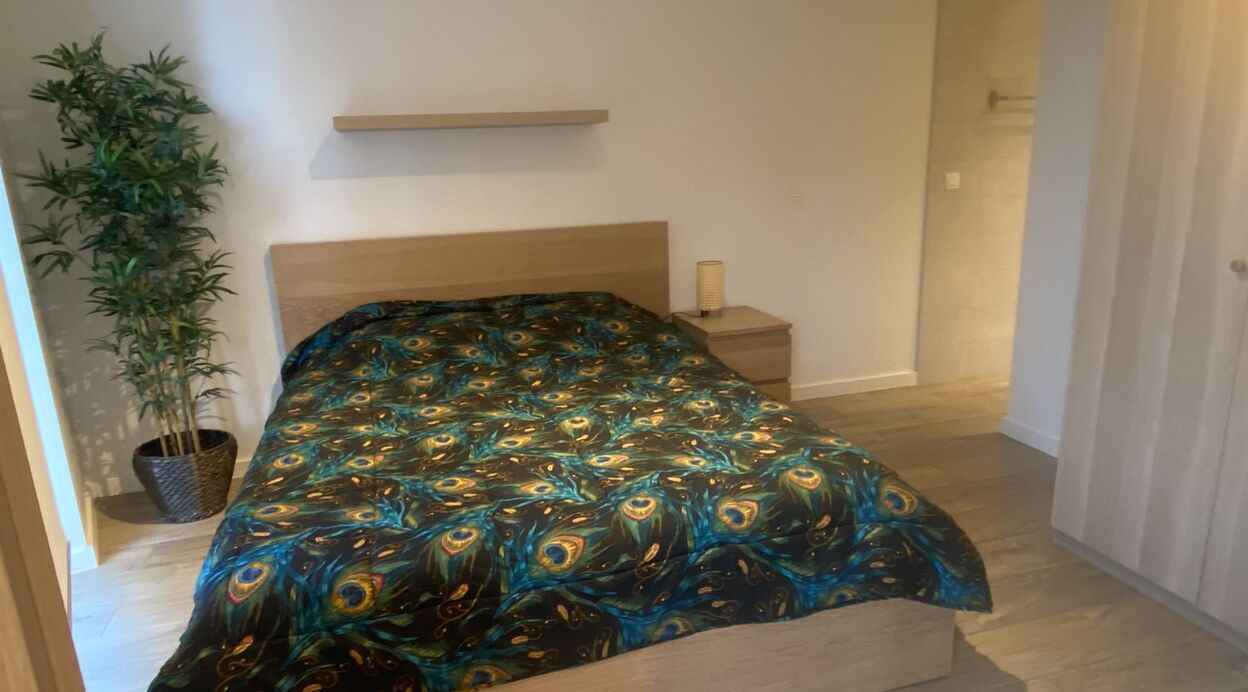 Appartement te huur in WILLEBROEK