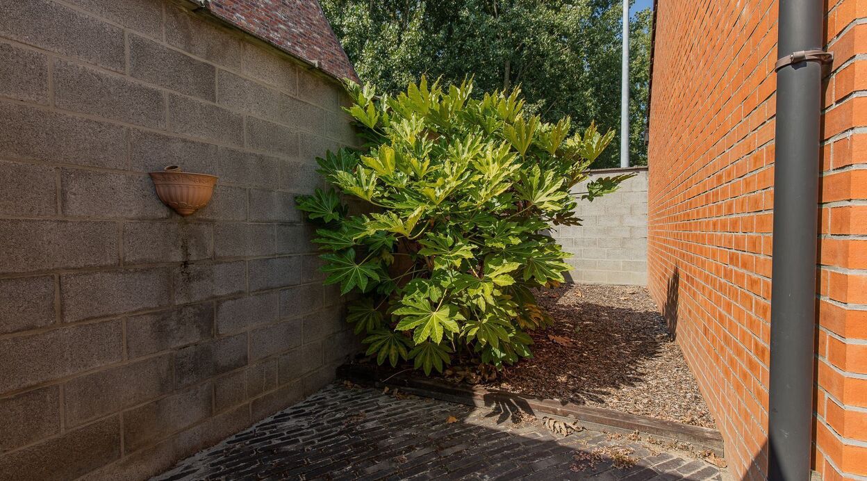 Woning te koop in PUURS-SINT-AMANDS